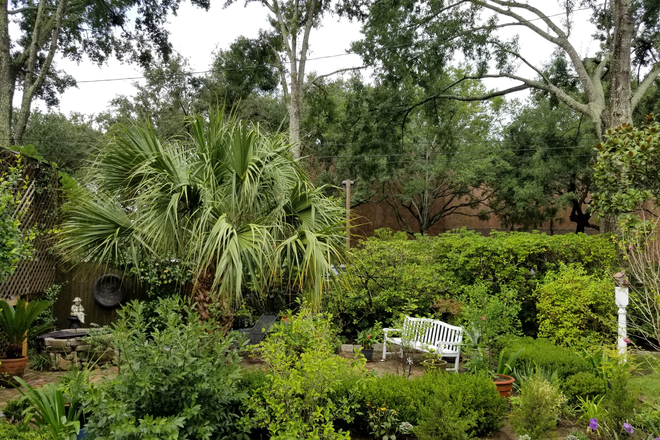View from Entrance - House with Character, Private Yard, and close to MUSC