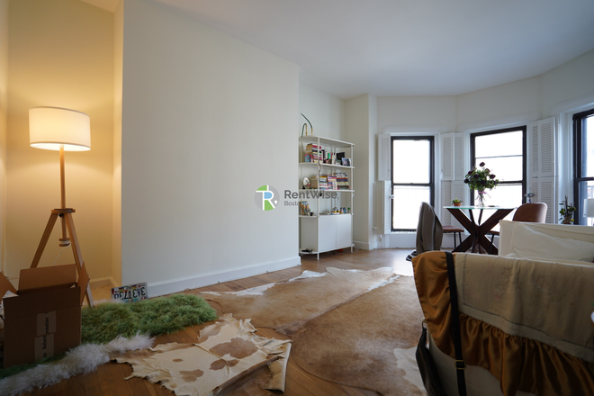 2 - JUNE 2025-Stunning Back Bay 1 bed, Cat ok. Easy MBTA! NO BROKER FEE! Apartments