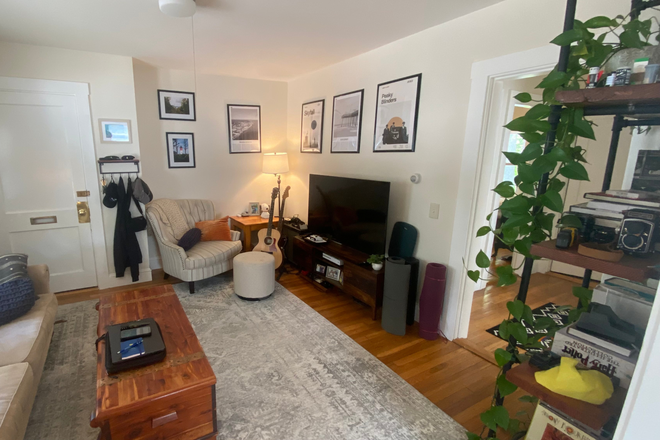 Living room - Clean, open and sunny one bedroom apartment