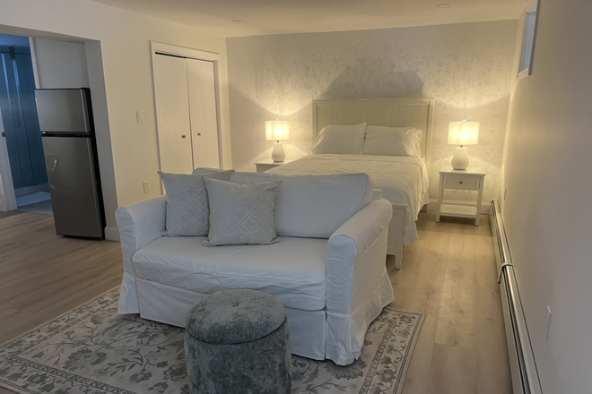 Living area - Newly Furnished Studio with Laundry Duplex