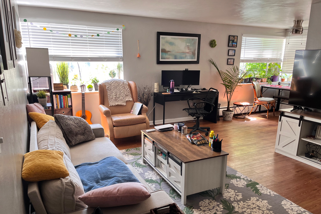 Living Room - Summer Sublease One Bedroom Apartment next to DU