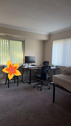 The room for renting - Glenwood apartments