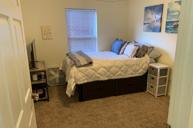 Bedroom - Large 3 Bedroom Apartment