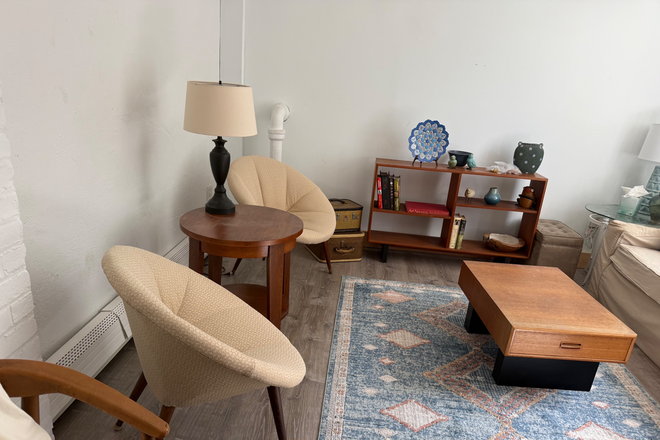 living room - Just renovated! 2 bedroom 1 bath furnished with outdoor space , walk to campus