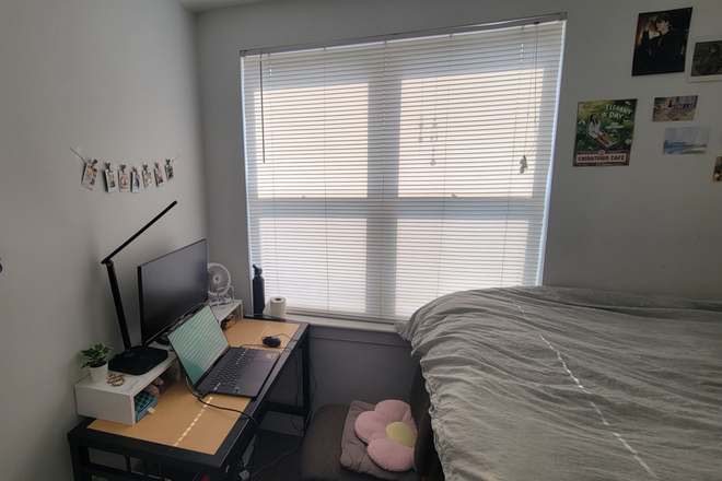 Bedroom - Commons 2 Lease Transfer, 4 bed/2 bath corner unit Apartments