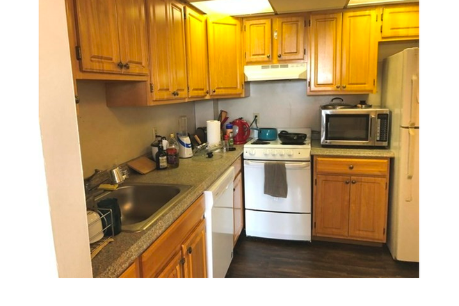 kitchen - Comm ave --2 units on the same floor Condo