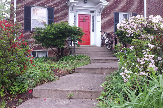 Location - Big Apartment--Walk to metro, on UMD shuttle route, close to campus