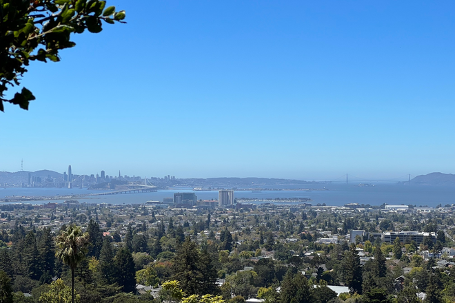 Spectacular views - Berkeley Hills, Fully Furnished, Spectacular Views, Weekly/Monthly, Private & Unique Location House