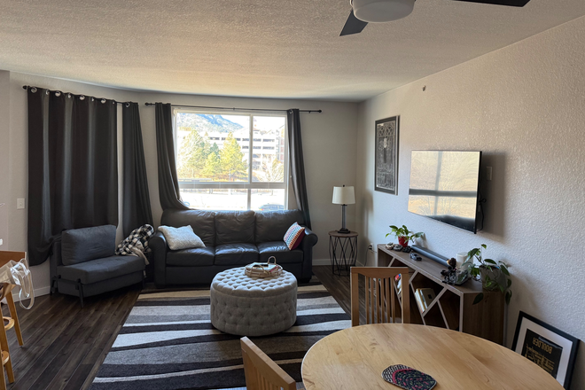 Living room - SUBLET: Across the Street From Campus!
