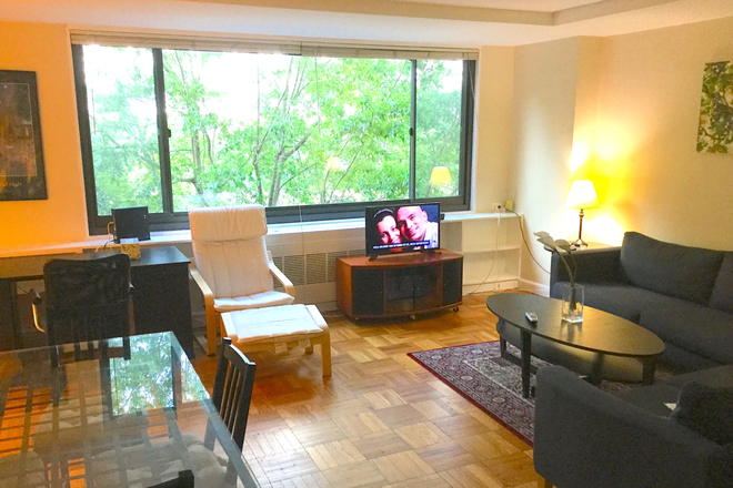 living room 1 - Fully Furnished One Bedroom . Beautiful Fully furnished one Bedroom!!