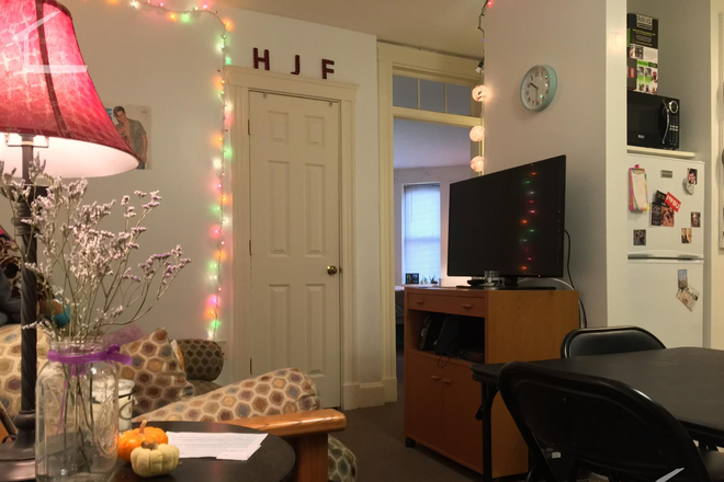 Kitchen - BEST DEAL IN BU SOUTH-TAKE A LOOK! 9/1/25 Apartments