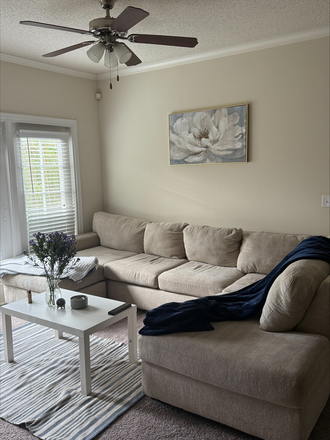 Living Room Sofa - Looking to Sublease the Room from May until August - The Preserve Tampa Palms
