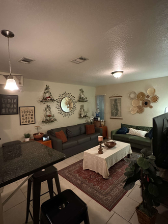 Living room. Couch, TV, Entertainment stand included. - College Town at USF