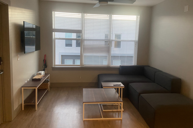Living Room - Room in Beautiful 2 Bed/2 Bath Apartment Steps From Campus