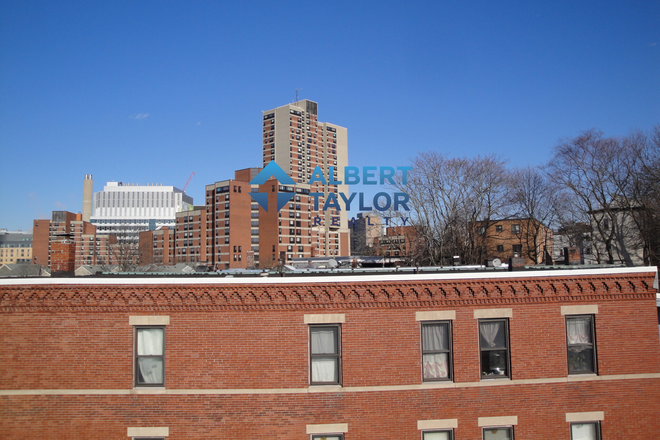 Roof Exit - HUGE 4Bed/2Bath Steps from Greenline, Perfect for NEU Students!