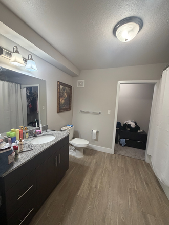 Private Bathroom - Watercress Tuscaloosa Apartments