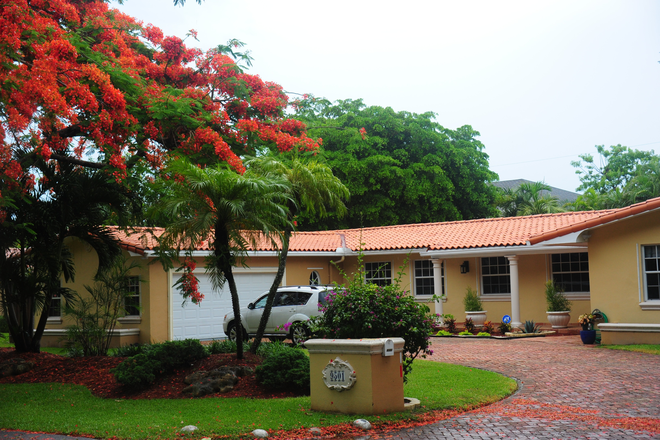 The house, Royal Poinciana tree in bloom - COZY FURNISHED ROOM WITH ALL UTILITIES  IN LUXURY HOME NEAR U/M FOR 1 PERSON