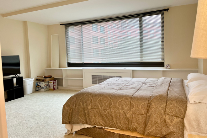 Large Studio - PRIME ROSSLYN LOCATION  Spacious Studio Apartment 401 SF Close Rosslyn Metro, GU, GWU