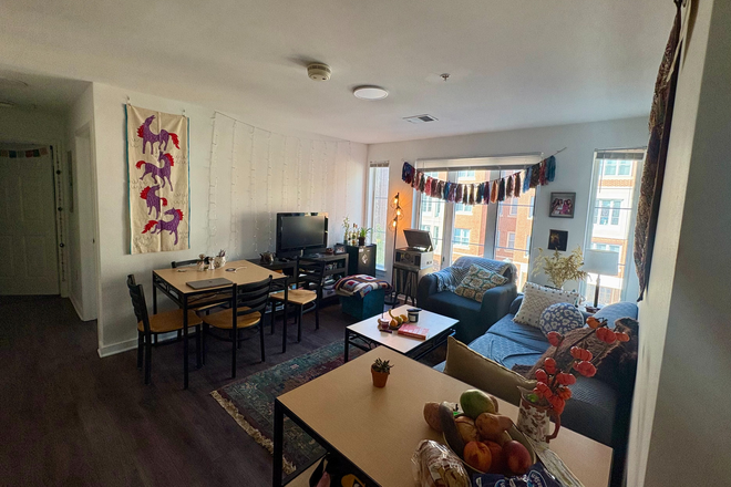 Living Room - SCC1 4 Bed/2 Bath Apt. Lease for Spring 2026, Great Women Roommates, Cute Living Room