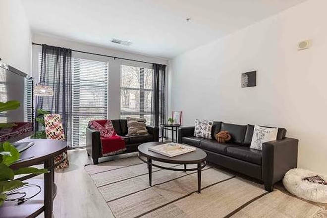 Living room - The Varsity Apartments