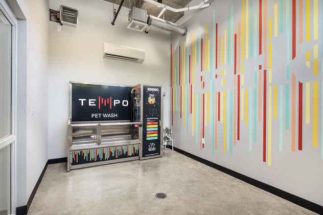 Pet Wash - Tempo, Studio Apartment: RENT NEGOTIABLE