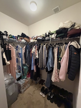 Large Closet - High-Rise Apartment Lease Takeover: Private Bedroom, Private Bathroom, Spacious Closet