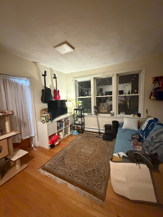 Living room - Pet friendly (no fee!) 2 bed room apartment (single room available)