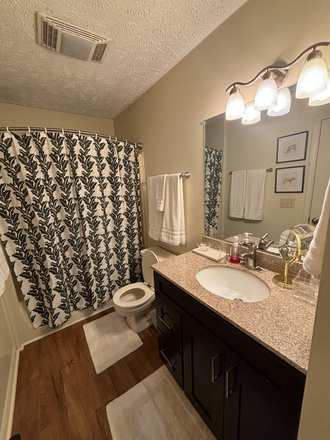 Updated bathroom - Stone Creek Apartments