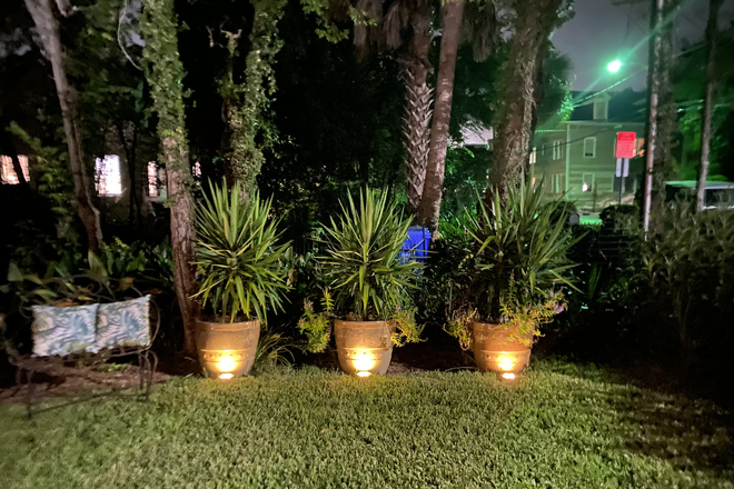 Front yard - Lovely townhouse and yard, off street parking,  fully furnished, *WALK TO CAMPUS