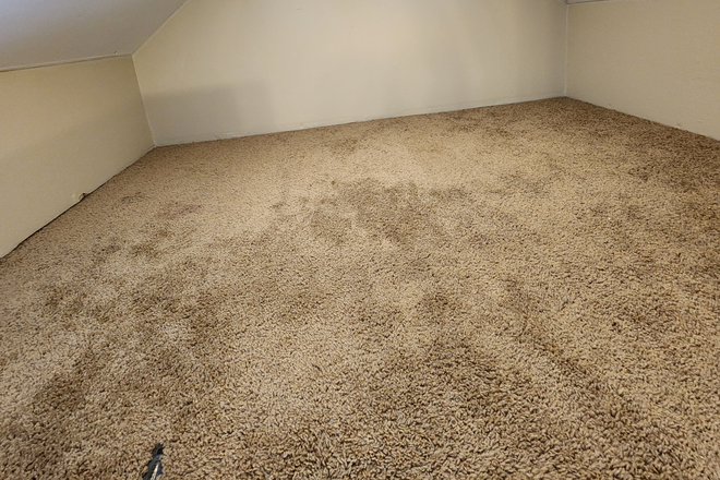 Loft - Charming Studio living Apartments