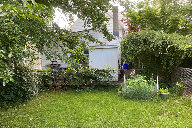 Yard - 15 Skehan St. Unit 1 - Cambridge Line - Walk to Harvard Square Apartments