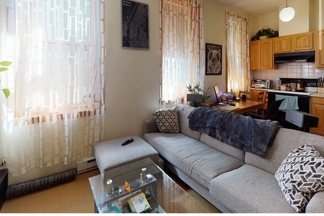 Living room - 1-Bedroom Apartment Near Tufts Medical Center – Available Mid-December through April 30