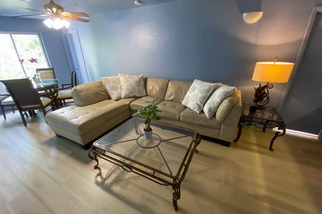 Relaxing living room - STYLISH REMODELED CONDO 1Bed/1 Bath in FULLY FURNISHED 4 Bed/4 Bath for FEMALE STUDENT