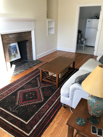Living room/fireplace - Furnished 1BR apt-Palmer Square West-Princeton