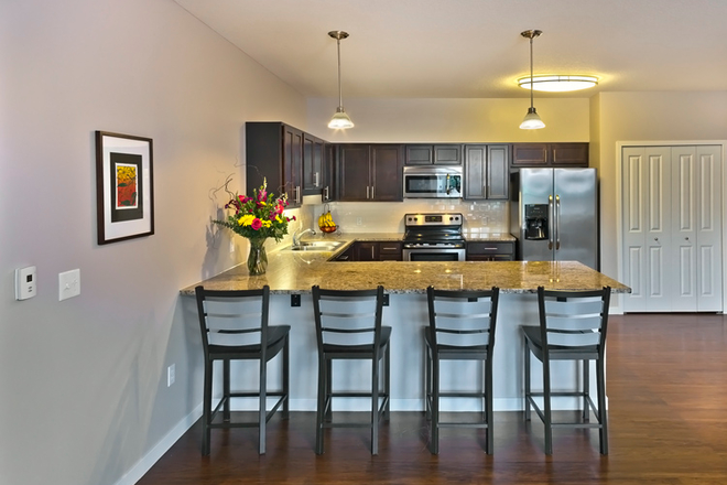 Kitchen - Grand & Finn Apartments, female subleaser wanted!
