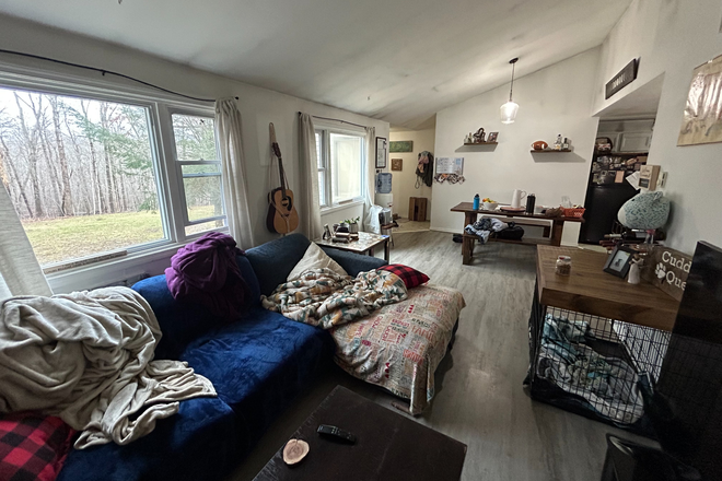 Living Room - 1-Bedroom Apartment in Chaplin