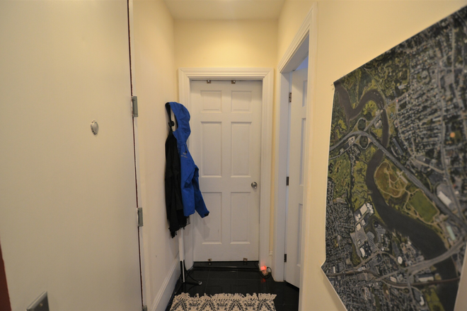Hallway - 2 bed 1 bath on Peterborough St - Modern Unit with Brick Wall! Apartments