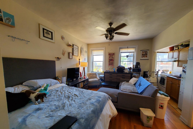 1 - SEPT 2026-Incredible Allston 1 bed, H/HW inc. No Broker Fee! Apartments