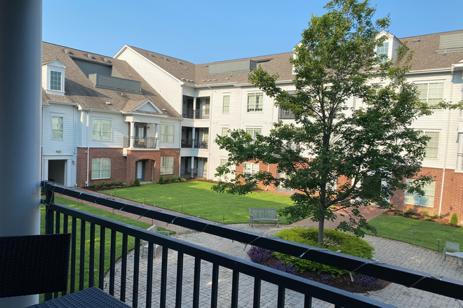 patio/balcony - 1BR/BA Available August 15 ALL INCLUSIVE/ FULLY FURNISHED Condo (shared housing)