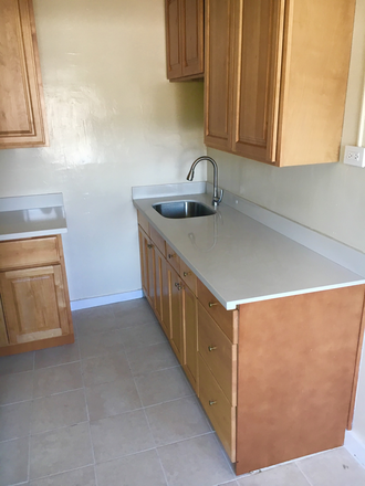 Kitchen - This unit is a Studio, with a giant kitchen room/dining space. With large closet