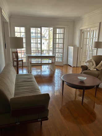shared living room (see note on furnishings in descrip) - Seeking co-tenant for an apartment share--great location in South Orange
