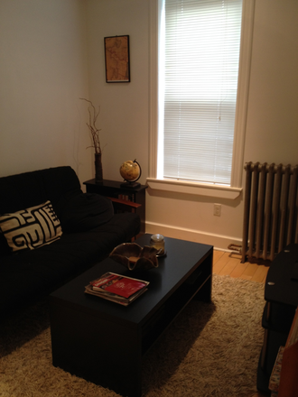 Living Room - quiet, updated and centrally located 1 bedroom or studio close to campus