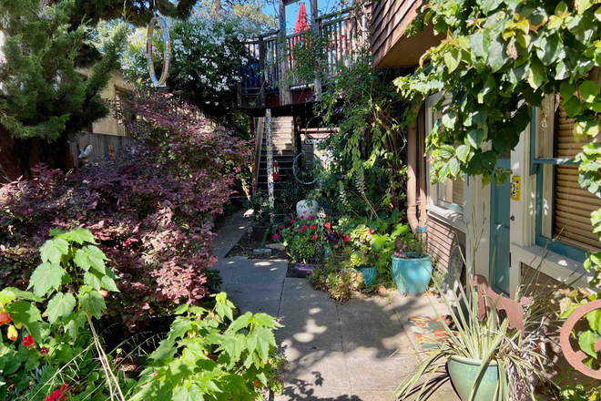 path from street, looking toward unit 1 front door - Light-filled garden apartment, 20 min bike ride to campus, 4 unit ultra friendly building