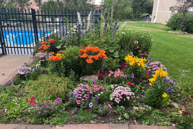 Garden by pool - Creekside Apartments 505 27th Way: 9 month leases over academic year; 12 month leases available