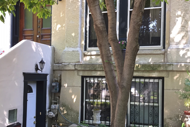 Front lower level entrance to garden apartment - Garden apartment in Tri-Taylor Historic District, Near West Side, in the Illinois Medical District