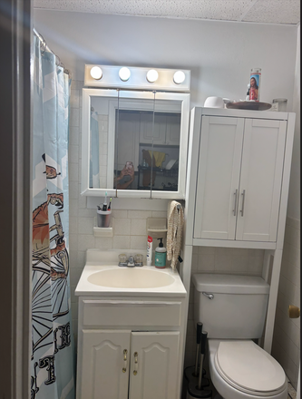 Bathroom - 1 Bedroom Apartment on Symphony Rd - Available 1/1/2026