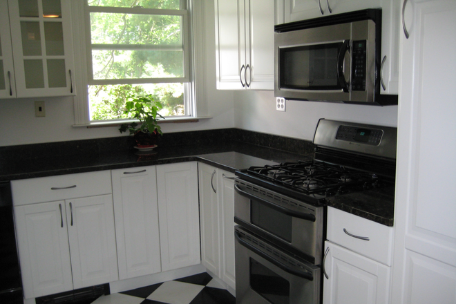 Kitchen - Sunny 2BR/2BA near Harvard Square Condo