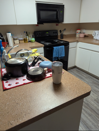 The kitchen will be empty when you arrive, dw - 1 Female 2x2 Unit Available at The Pointe at Central Apartments