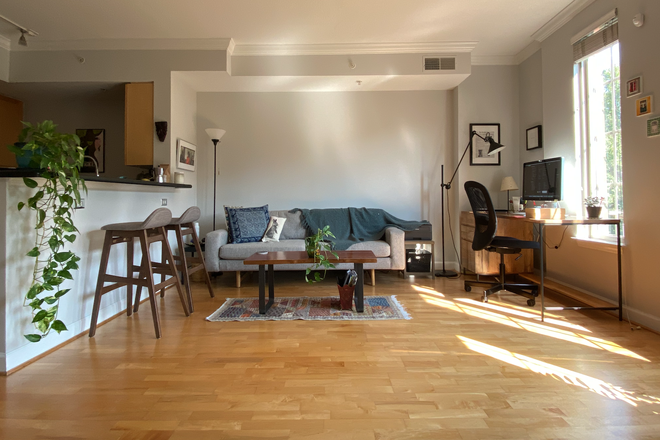living space - Large sunny studio in Logan Circle