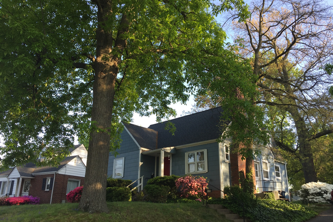 Shared House - Great Room in Shared House. 7-min walk to metro&nbsp;(Close to UMD)